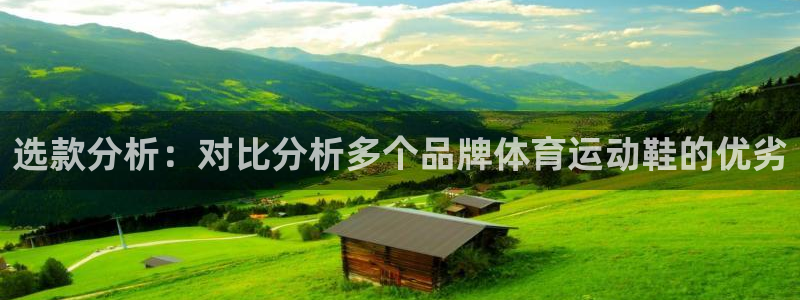 关键词：选款分析：对比分析多个品牌体育运动鞋的优劣