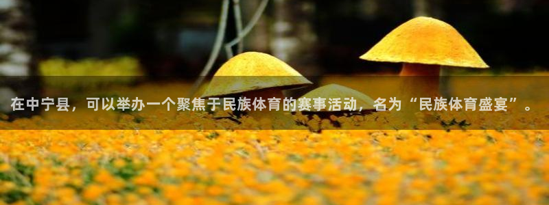 k球体育直播：在中宁县，可以举办一个聚焦于民族体育的赛事活动，名为“民族体育盛宴”。